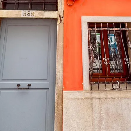 L Ultimo Venchero By Ca-sa Check *